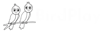 logo birdplay